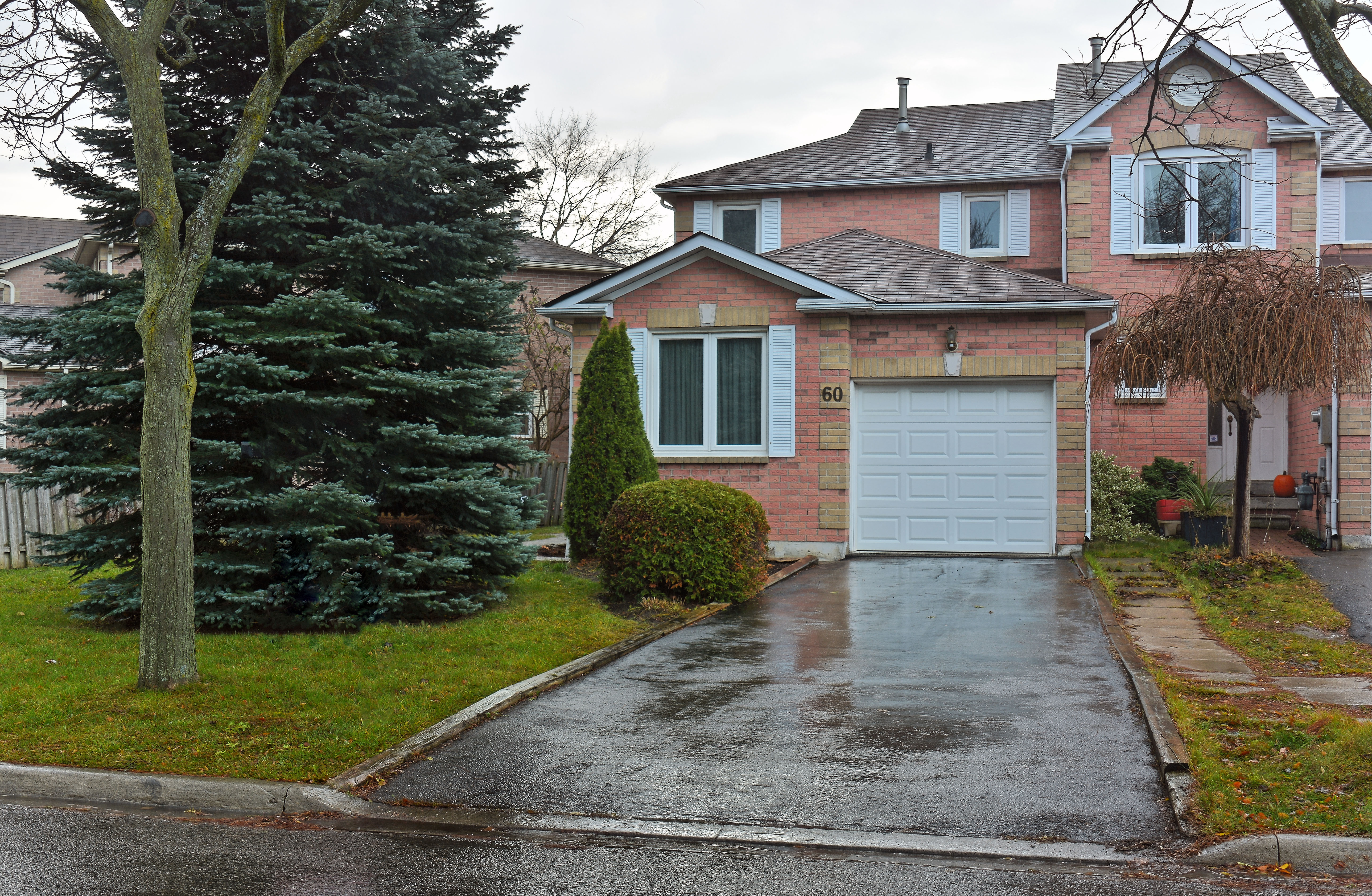 60 Steepleview Crescent